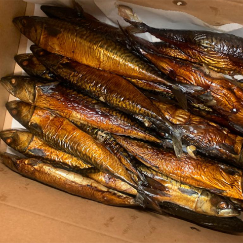 mackerel small